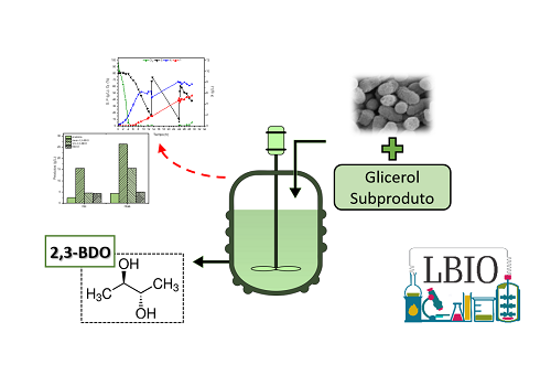 Bioprodução de 2,3-butanodiol: regimes de operação e inibidores do processo