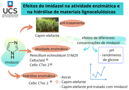 Imidazol: Efeitos na atividade enzimática e hidrólise de lignocelulósicos