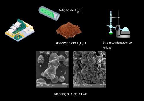 MODIFICAÇÃO DE LIGNOSULFONATO PARA USO COMO RETARDANTE DE CHAMA RENOVÁVEL 