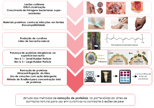 MÉTODOS DE EXTRAÇÃO DE PROTEÍNAS ALERGÊNICAS PRESENTES NA BORRACHA NATURAL 