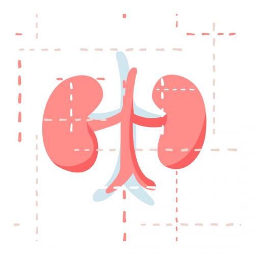 VALIDADE DA EQUAÇÃO FULL AGE SPECTRUM PARA ESTIMAR TAXA DE FILTRAÇÃO GLOMERULAR