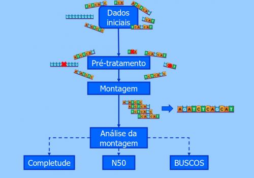Configuração de Ambiente Computacional para Montagem e Anotação Genômica