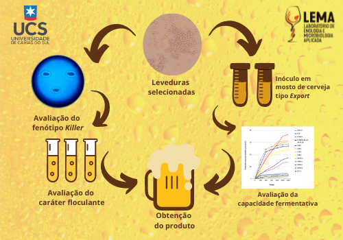 AVALIAÇÃO DE LEVEDURAS SACCHAROMYCES SELECIONADAS E NÃO CONVENCIONAIS NA FERMENTAÇÃO DE CE