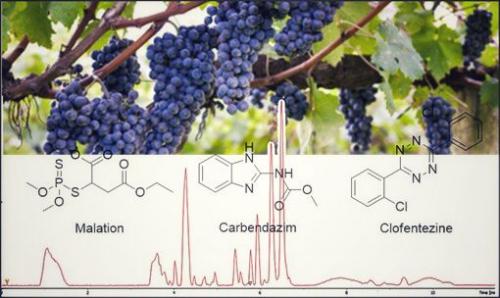 Análise de Resíduos de Pesticidas em Uva por Cromatografia a Líquido Acoplada a Espectrome