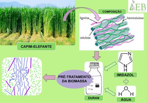 Utilização do imidazol para o pré-tratamento de capim-elefante