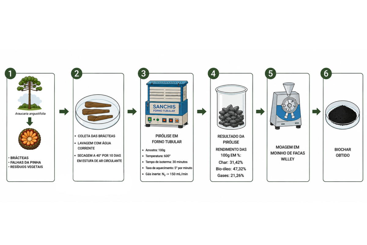 Aproveitamento de resíduos do pinhão para a produção materiais carbonáceos