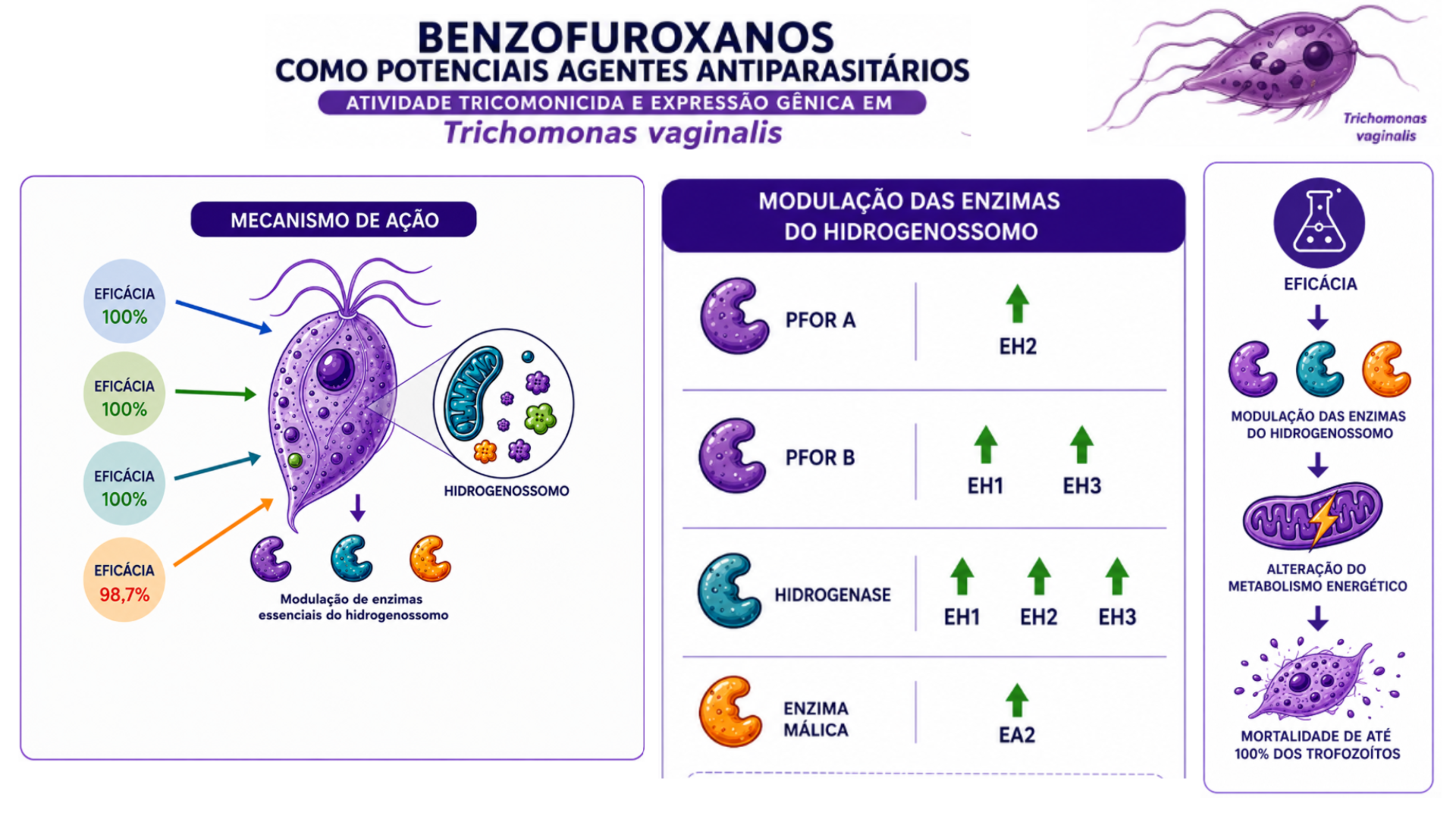 Benzofuroxanos: atividade tricomonicida e expressão gênica em T. vaginalis