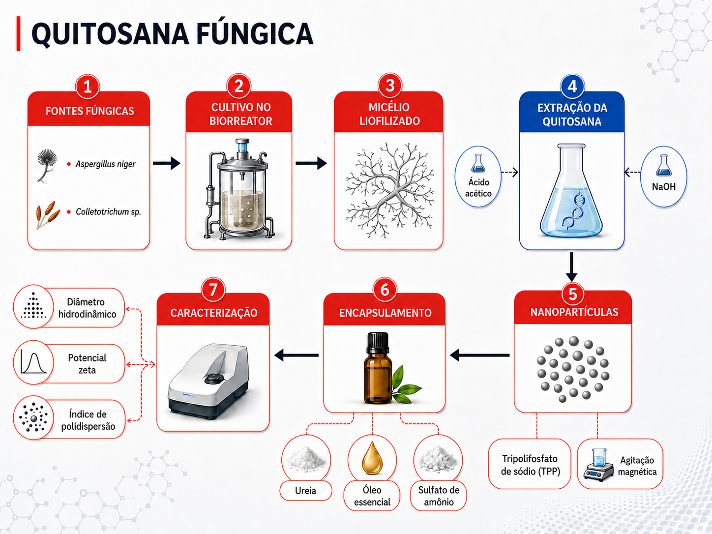 Quitosana fúngica para encapsulação de compostos aplicados à agricultura