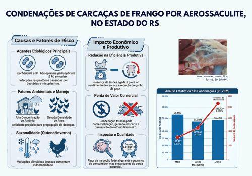 CONDENAÇÕES DE CARCAÇAS DE FRANGO POR AEROSSACULITE, NO ESTADO DO RS 