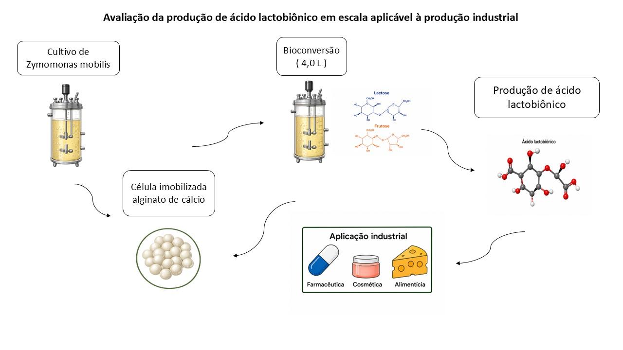 Produção de ácido lactobiônico em escala aplicável à produção industrial 