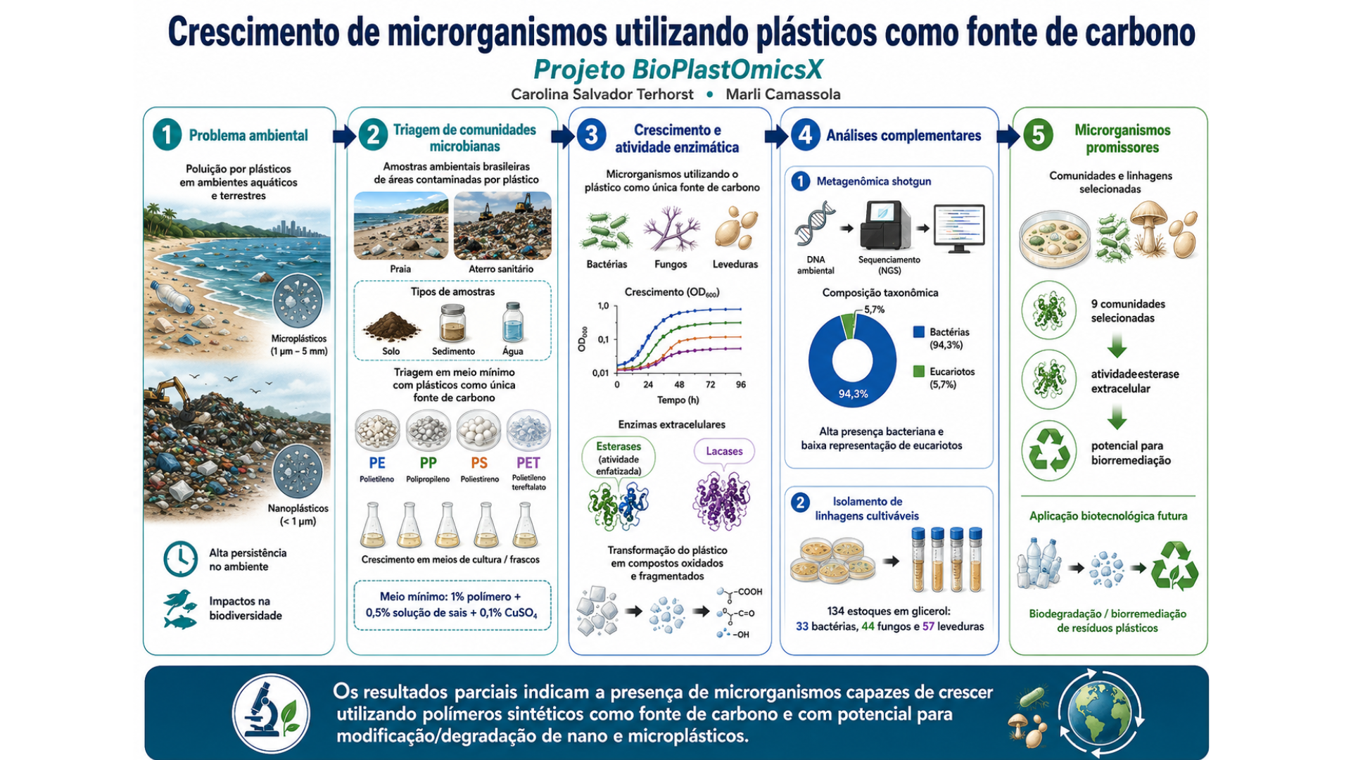 Crescimento de microrganismos utilizando plásticos como fonte de carbono