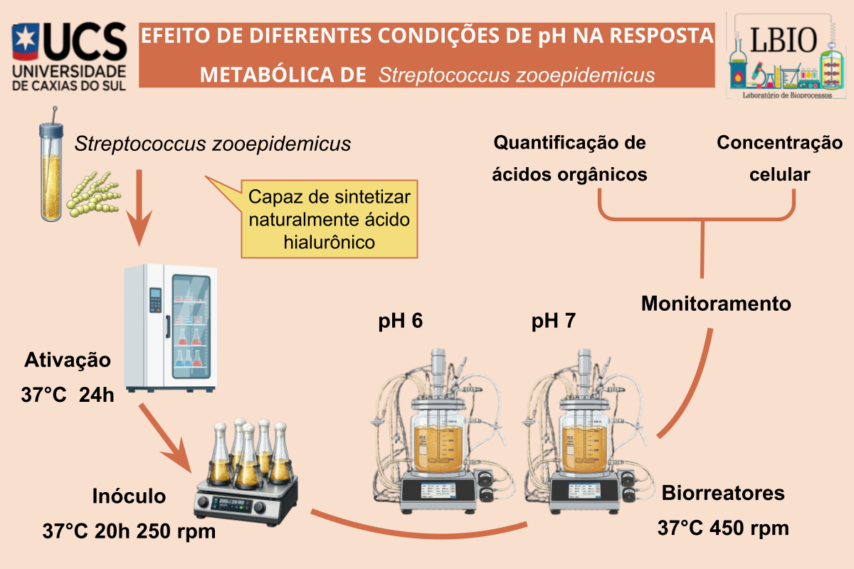 EFEITO DO pH DE CULTIVO SOBRE A RESPOSTA METABÓLICA DE S. zooepidemicus