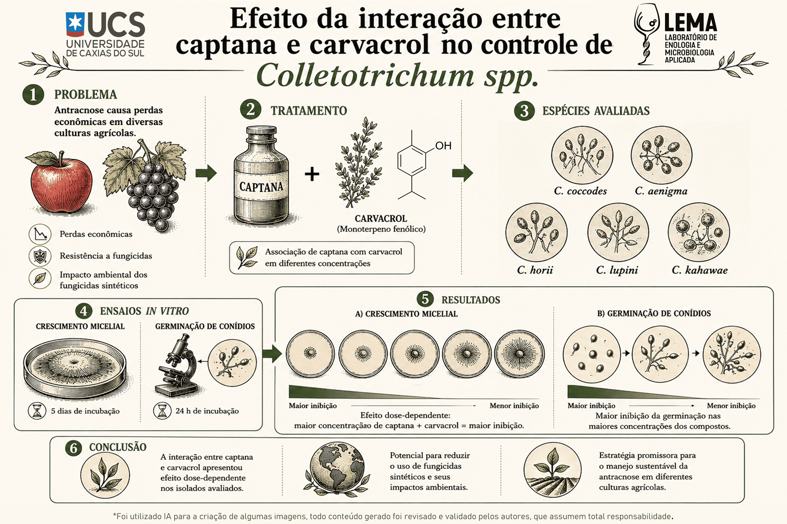 Efeito da interação entre captana e carvacrol no controle de Colletotrichum spp.