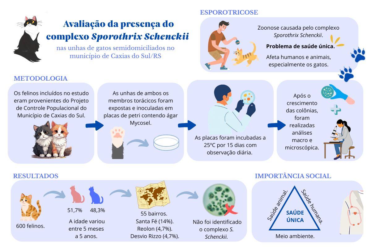 Avaliação da presença do complexo Sporothrix Schenckii nas unhas de gatos