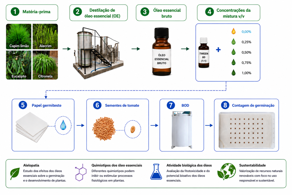 Efeito alelopático de óleos essenciais na germinação de sementes de tomate.