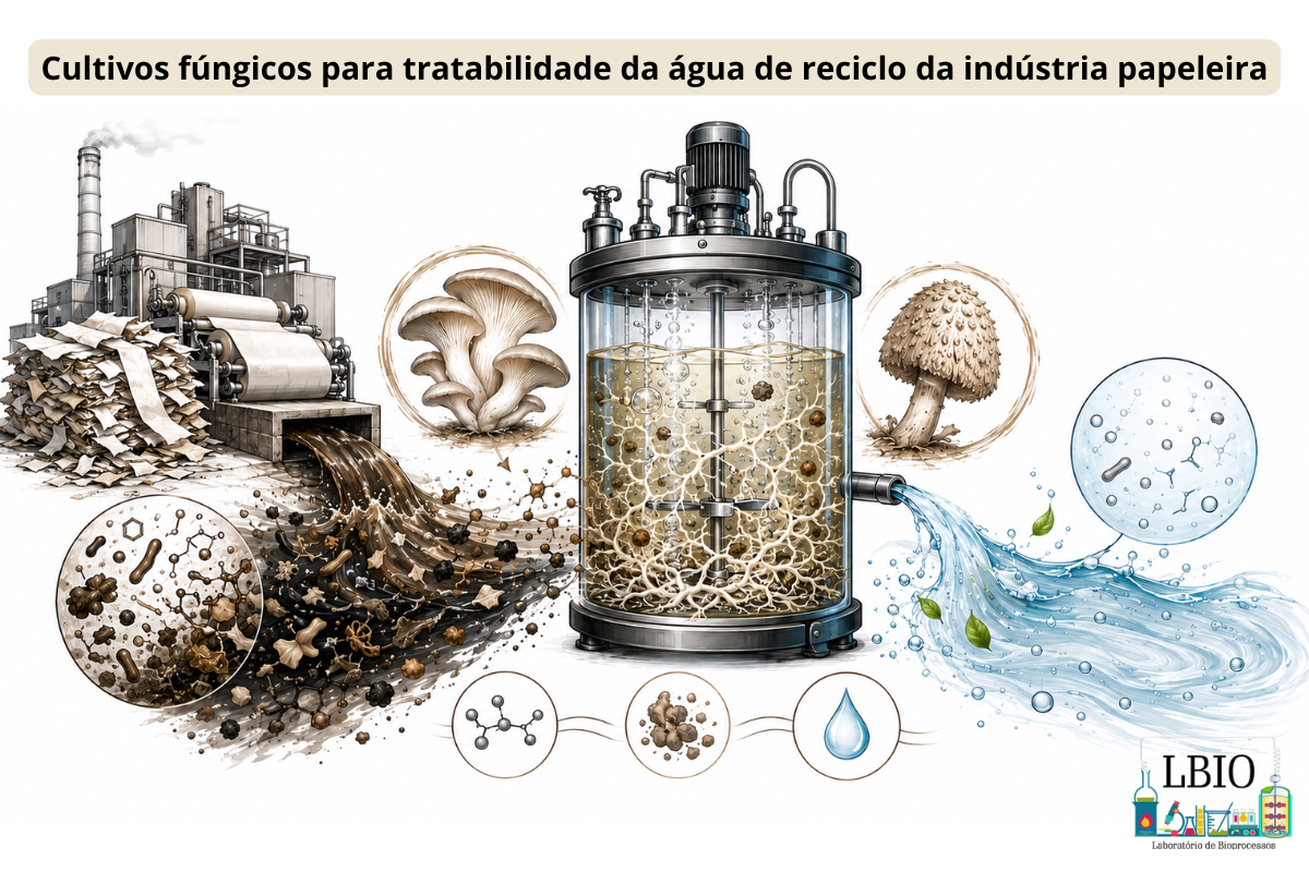 Cultivos fúngicos para tratabilidade da água de reciclo da indústria papeleira