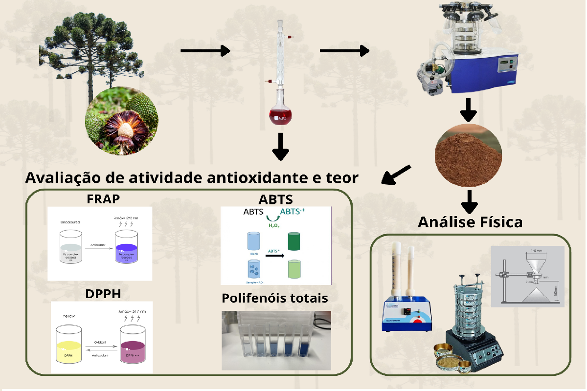 Obtenção e caracterização parcial de extrato seco liofilizado de A. angustifolia