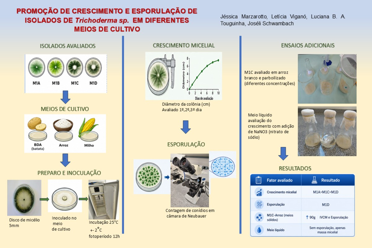 Crescimento e esporulação de isolados de Trichoderma sp. em meios de cultivo