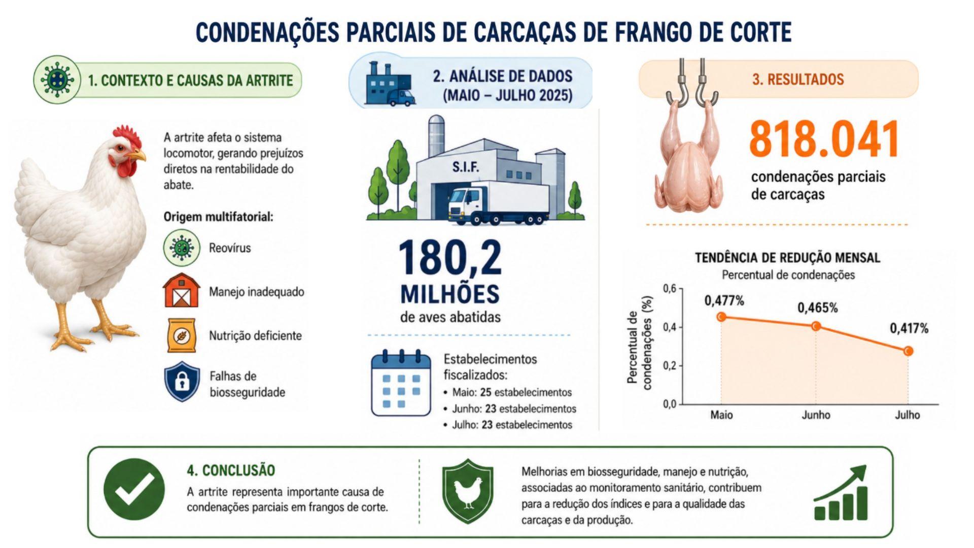 Condenação de carcaças de frangos de corte.