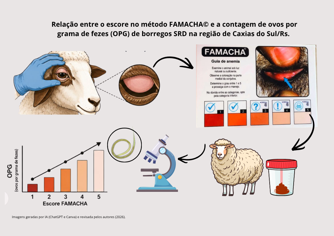 Relação entre FAMACHA© e OPG em borregos SRD de Caxias do Sul/RS.