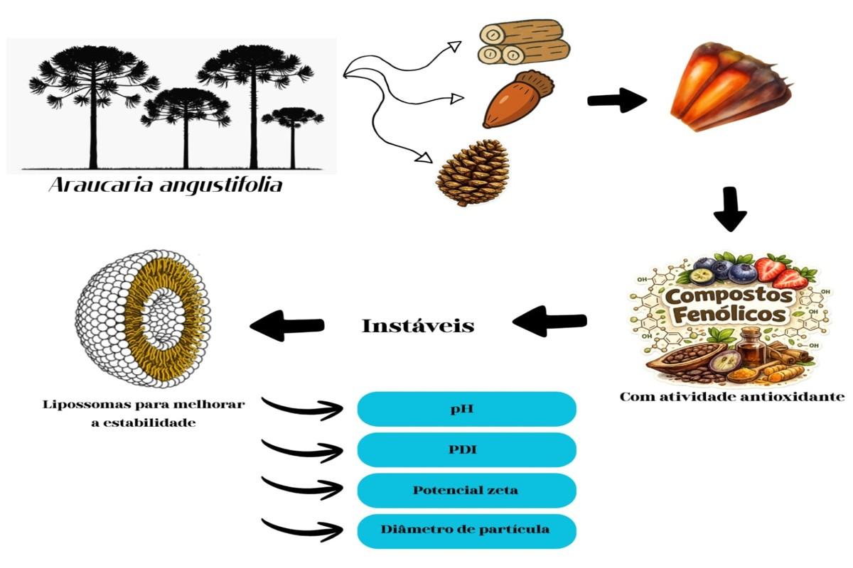 Uso de resíduos da produção de pinhão para a produção de  nanoformulações