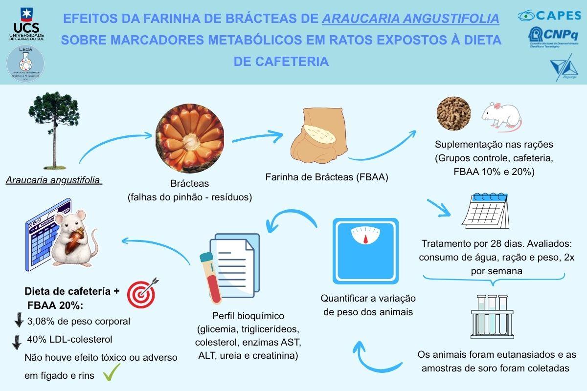 EFEITOS DA FARINHA DE BRÁCTEAS SOBRE MARCADORES METABÓLICOS EM RATOS