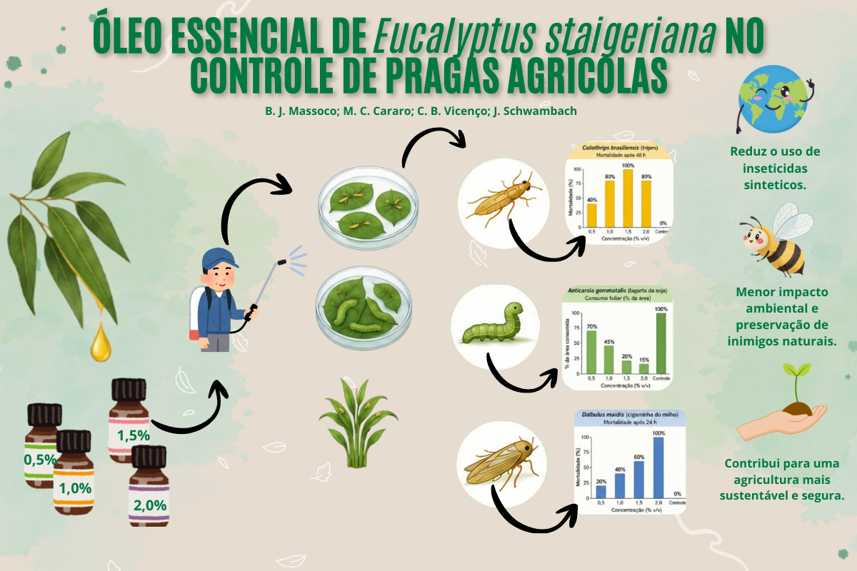 Óleo essencial de Eucalyptus staigeriana sobre diferentes pragas agrícolas