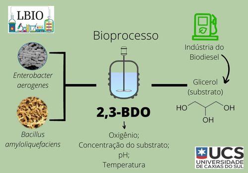 PRODUÇÃO DE 2,3-BDO: EFEITO DA CONCENTRAÇÃO DE SUBSTRATO E CONDIÇÕES DE CULTIVO