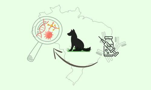 Análise in silico de cepas vacinais e circulantes de parvovírus no Brasil