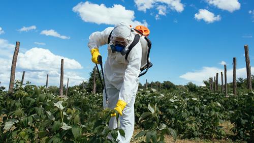 Inconformidades legais no manejo dos EPIs e embalagens de agrotóxicos