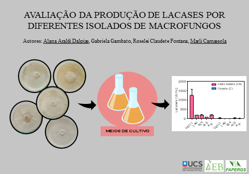 Avaliação da produção de lacases por diferentes isolados de macrofungos