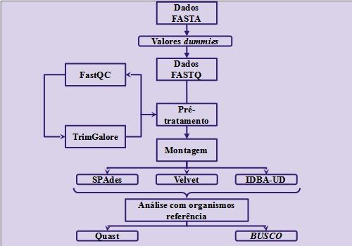 Montagem e anotação de levedura com subproduto alvo: desafios e perspectivas.