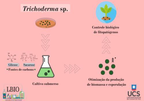 OBTENÇÃO DE BIOMASSA DE Trichoderma sp. UTILIZANDO GLICOSE E SACAROSE