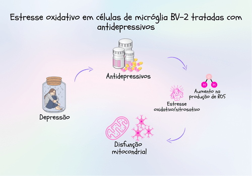 Estresse oxidativo  em células de micróglia BV-2 tratadas com antidepressivos