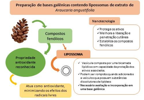 Preparação de bases galênicas contendo lipossomas de extrato de A. angustifolia