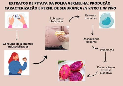 EXTRATO DE PITAYA: PRODUÇÃO, CARACTERIZAÇÃO E SEGURANÇA IN VITRO E IN VIVO