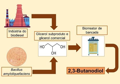 OBTENÇÃO DE 2,3-BDO POR BACILLUS AMYLOLIQUEFACIENS