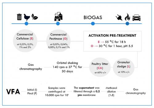 Anaerobic digestion of poultry litter with use of enzymatic pre-treatment