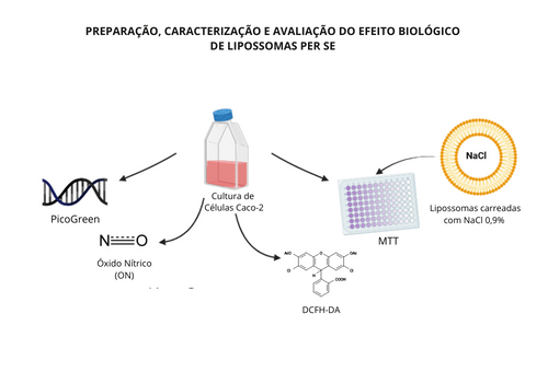 PRODUÇÃO, CARACTERIZAÇÃO E EFEITO BIOLÓGICO DE LIPOSSOMAS PER SE