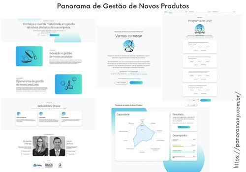 Panorama de Gestão de Novos Produtos.