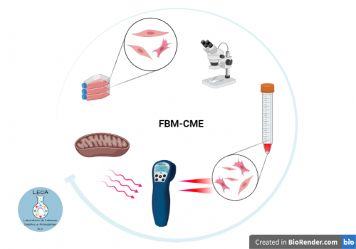 EFEITO DA FOTOBIOMODULAÇÃO E CAMPO MAGNÉTICO ESTÁTICO EM CÉLULA MUSCULAR C2C12