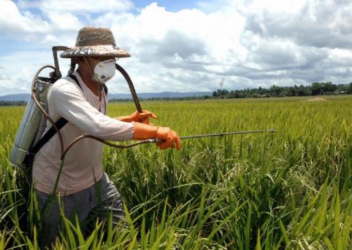 Mapeamento da utilização de agrotóxicos no município de São Marcos/RS