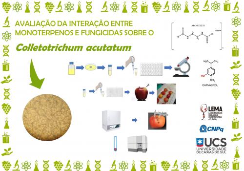 INTERAÇÃO ENTRE MONOTERPENOS E FUNGICIDAS SOBRE O Colletotrichum acutatum