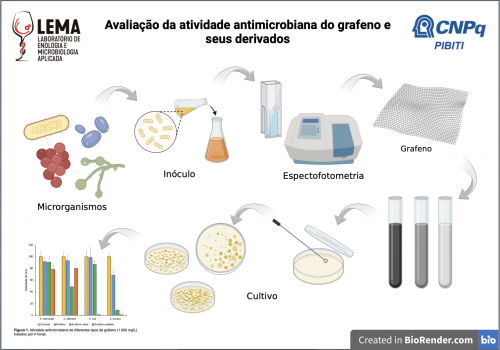 Avaliação da atividade antimicrobiana do grafeno e seus derivados