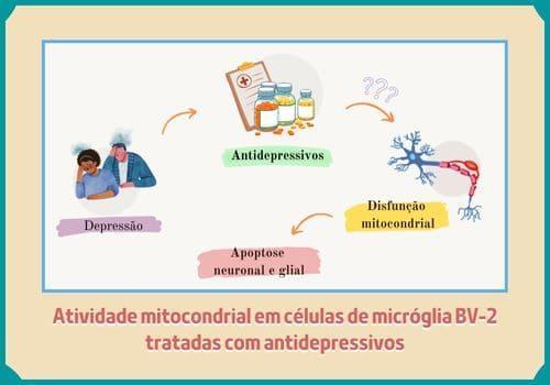 Atividade mitocondrial em células de micróglia BV-2 tratadas com antidepressivos