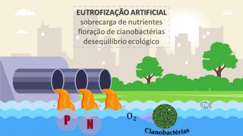 IDENTIFICAÇÃO E QUANTIFICAÇÃO DE CIANOBACTÉRIAS EM RESERVATÓRIO D’ÁGUA