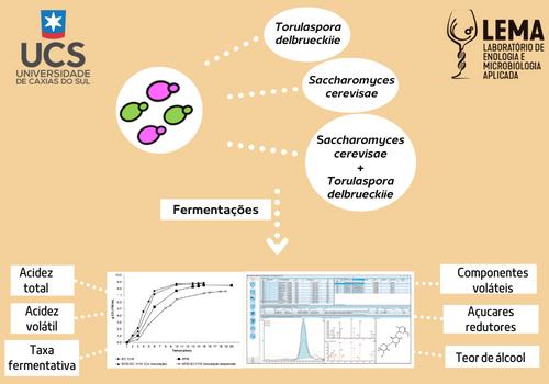 Torulaspora delbrueckii nativa: contribuição em vinhos Chardonnay 