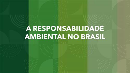 A responsabilidade ambiental no Brasil