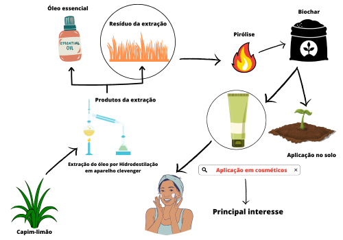 ANÁLISE DE METAIS PRESENTES NO BIOCHAR CAPIM LIMÃO VISANDO APLICAÇÃO COSMÉTICA