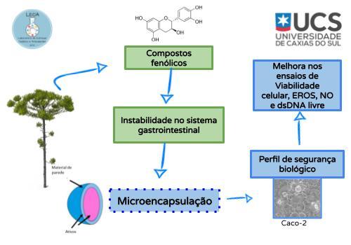 Perfil de segurança biológico  de microcápsulas contendo extrato aquoso liofilizado de Ara